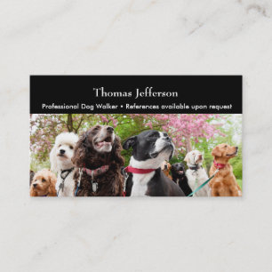 Dog walker Business Card