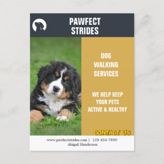 Dog Walker Business Marketing Postcard