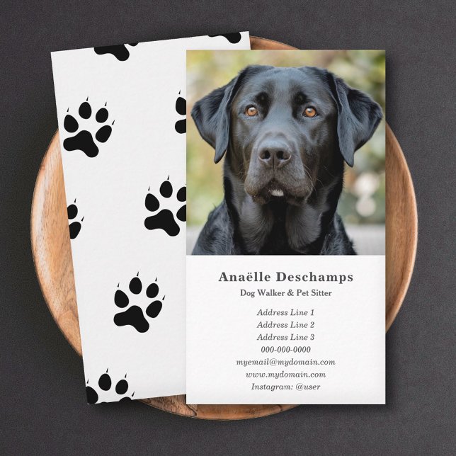 Dog Walker Pet Sitter Custom Photo White  Business Card (Dog Walker Pet Sitter Custom Photo White Business Card)