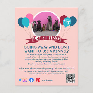 dog walker pet sitting pet service grooming  flyer