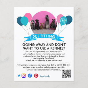 dog walker pet sitting pet service grooming  flyer