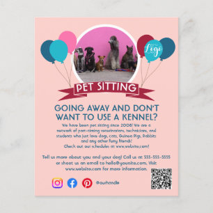 dog walker pet sitting pet service grooming  flyer