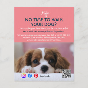 dog walker pet sitting pet service grooming  flyer