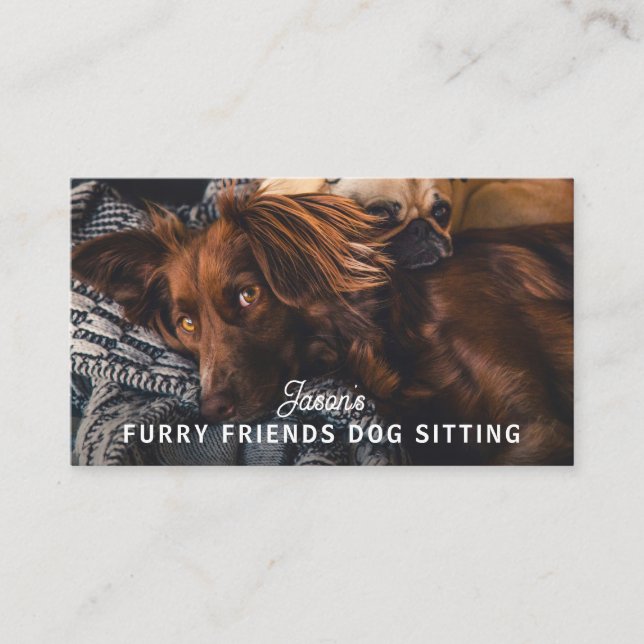 Dog Walker Sitting Daycare Service Business Card (Front)