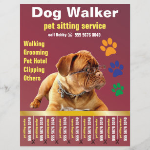 Dog Walker Trustworthy Care Pet Sitting Service Ad