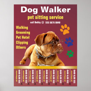 Dog Walker Trustworthy Care Pet Sitting Service Ad Poster