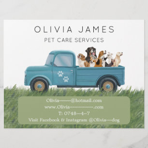 Dog walker van pet care service promotional flyer