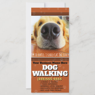 Dog Walking Customisable Marketing Advertising