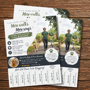 Dog Walking Pet Sitter Business Flyers 