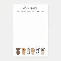 Dog Walking, Pet Sitting, Dog Boarding, Drop In