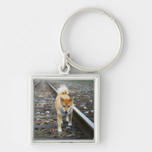 Dog walking track key ring