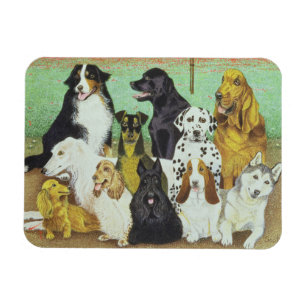 Dog Watch Magnet