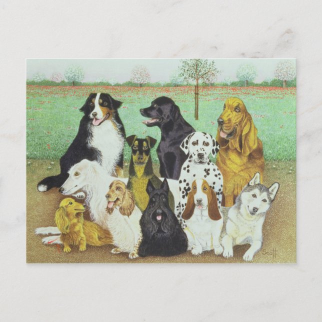 Dog Watch Postcard (Front)