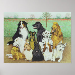 Dog Watch Poster