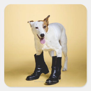 Dog wearing boots square sticker