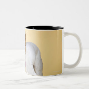 Dog wearing boots Two-Tone coffee mug