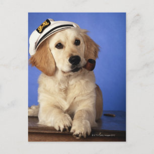Dog wearing cap, holding smoke pipe postcard