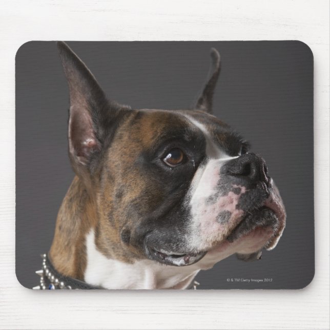 Dog wearing collar, looking away mouse mat (Front)
