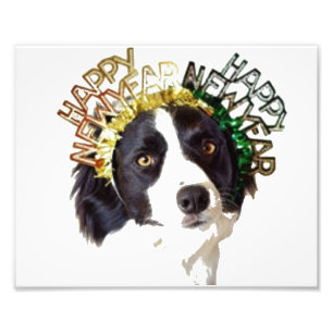 Dog wearing Happy New Years Hat Photo Print