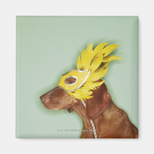 Dog wearing mask magnet