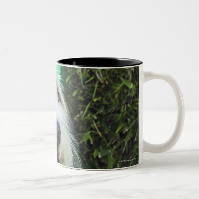 Dog wearing party hat Two-Tone coffee mug (Right)