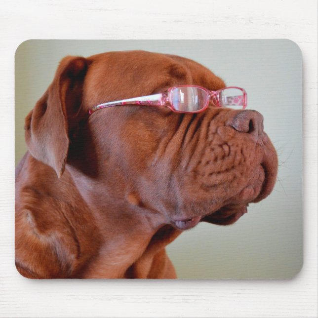 Dog Wearing Pink Eyeglasses Mouse Mat (Front)