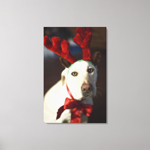 Dog wearing reindeer antlers canvas print