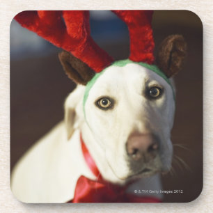 Dog wearing reindeer antlers coaster