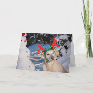 Dog Wearing Reindeer Antlers Holiday Card