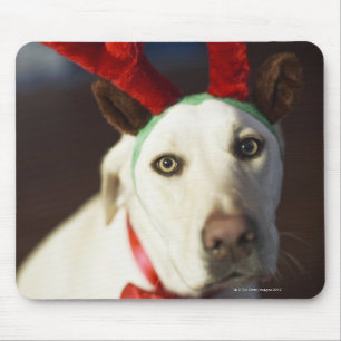 Dog wearing reindeer antlers mouse mat