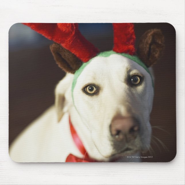 Dog wearing reindeer antlers mouse mat (Front)