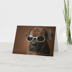 Dog wearing sunglasses card