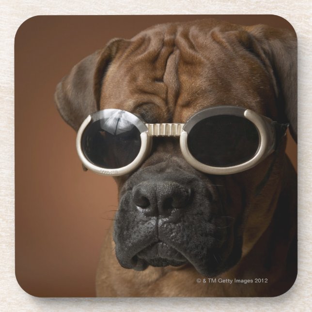 Dog wearing sunglasses coaster (Front)