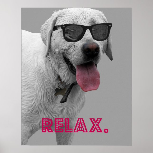 Dog wearing sunglasses, relax poster (Front)