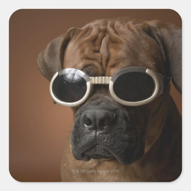 Dog wearing sunglasses square sticker (Front)