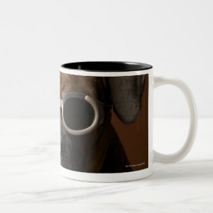 Dog wearing sunglasses Two-Tone coffee mug