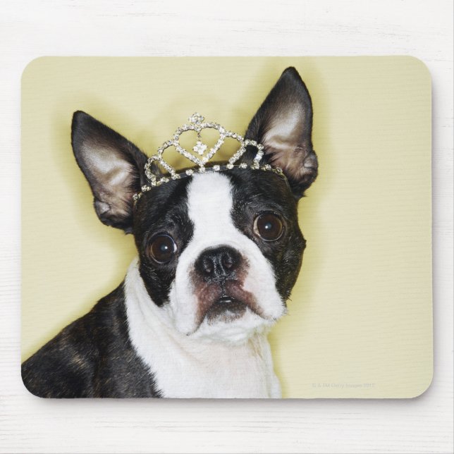 Dog wearing tiara mouse mat (Front)