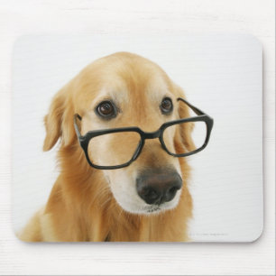 Dog wearing  tie and glasses sitting on chair in mouse mat