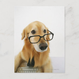 Dog wearing  tie and glasses sitting on chair in postcard