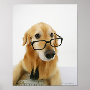 Dog wearing tie and glasses sitting on chair in poster