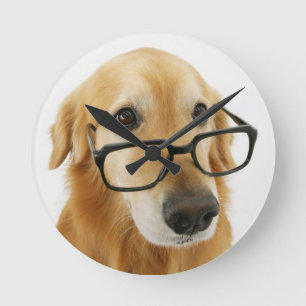 Dog wearing  tie and glasses sitting on chair round clock