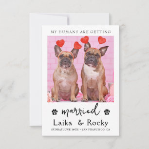Dog Wedding Invitation