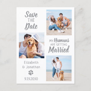 Dog Wedding Photo Collage Save The Date Announcement Postcard
