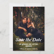Dog Wedding Photo Save the Date Card Invitation