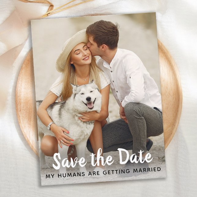 Dog Wedding Save The Date Announcement Postcard (Creator Uploaded)