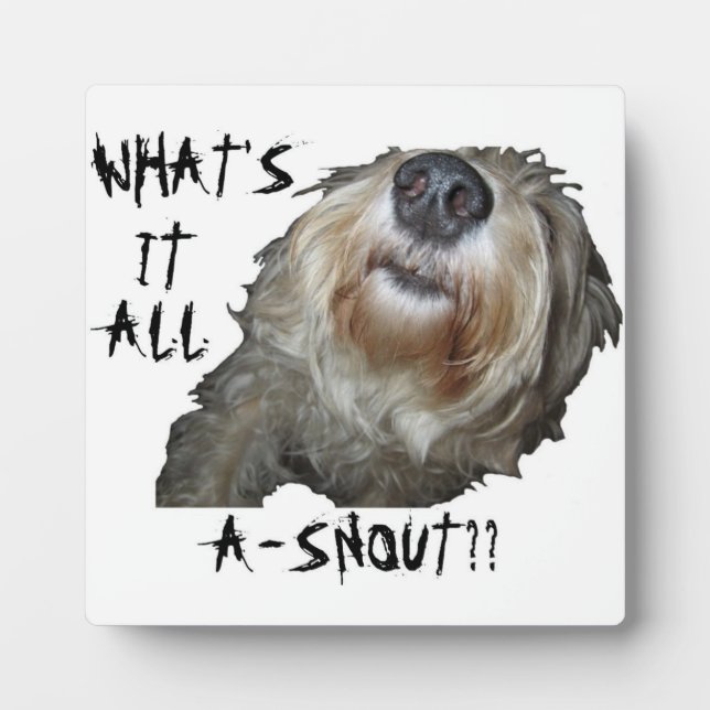 Dog "WHAT'S IT ALL A-SNOUT??" Plaque (Front)