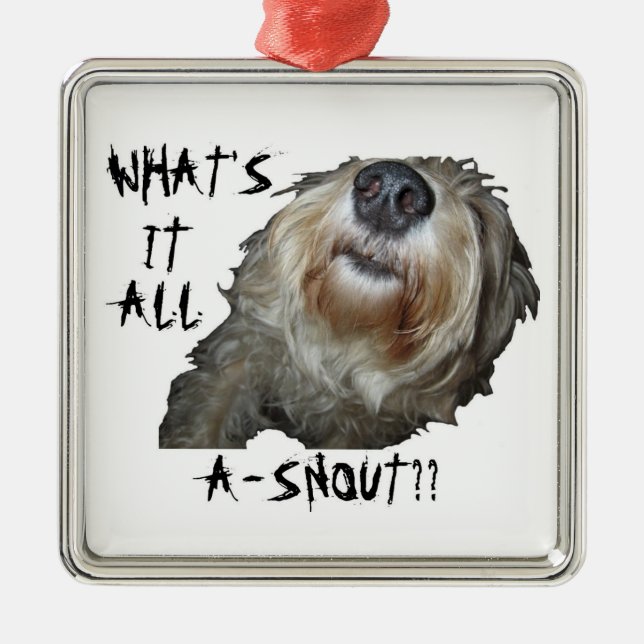 Dog "WHAT'S IT ALL A-SNOUT??" Square Ornament (Front)