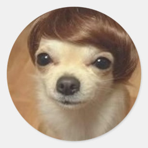 dog-wig classic round sticker