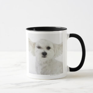 Dog winking mug