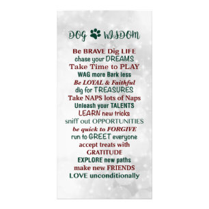 Dog Wisdom Quote Photo Print